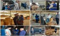 بازدیدهای هفتگی کارشناسان حرفه ای پاکدشت  